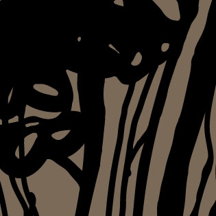 Artwotk by Montse Noguera